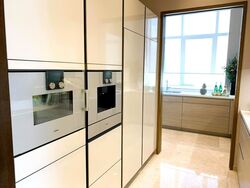V On Shenton (D1), Apartment #510476141